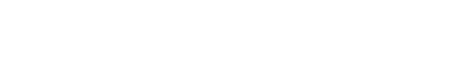 Профессионал